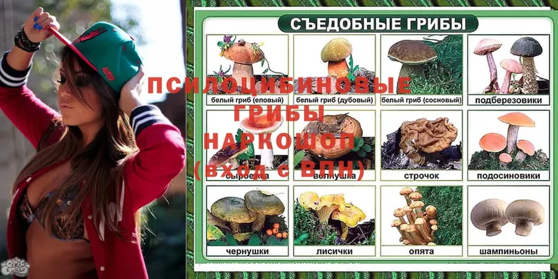 наркотики  Лабинск  Псилоцибиновые грибы мицелий 